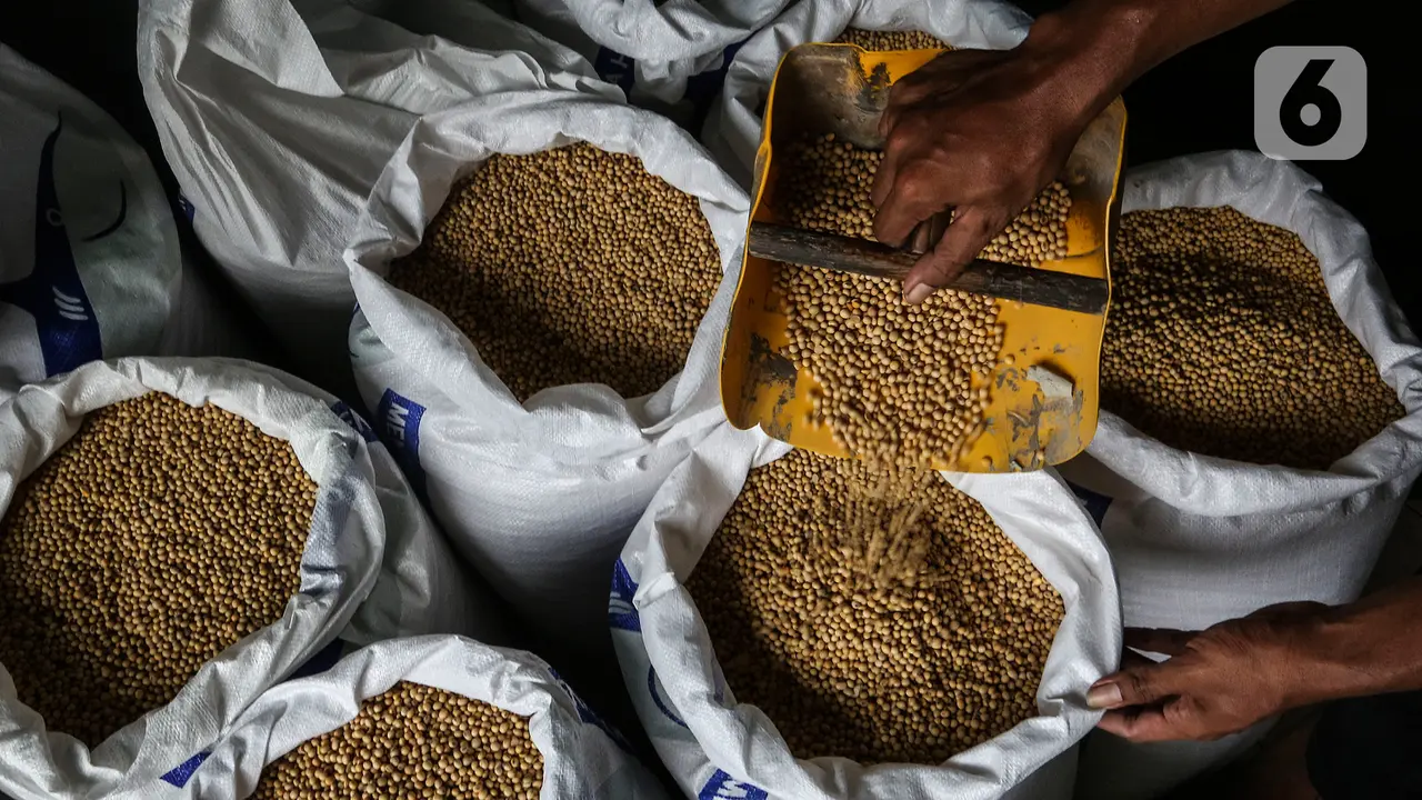 Harga Kedelai Diperkirakan Masih Tinggi