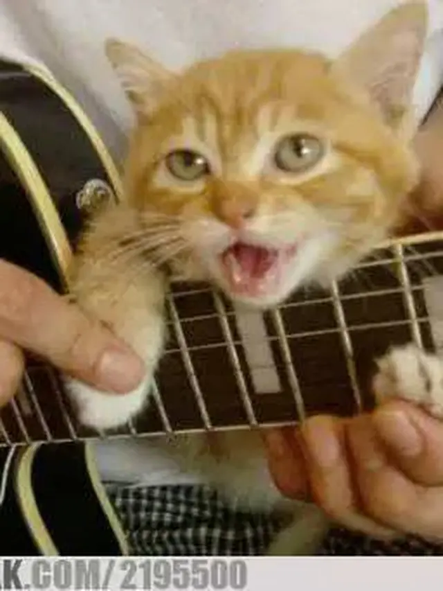 7 Potret Nyeleneh Orang Saat Main Gitar Ini Bikin Geleng Kepal