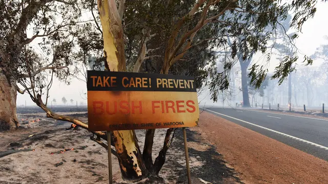 20160107-53 Ribu Hektar Hutan di Australia Terbakar