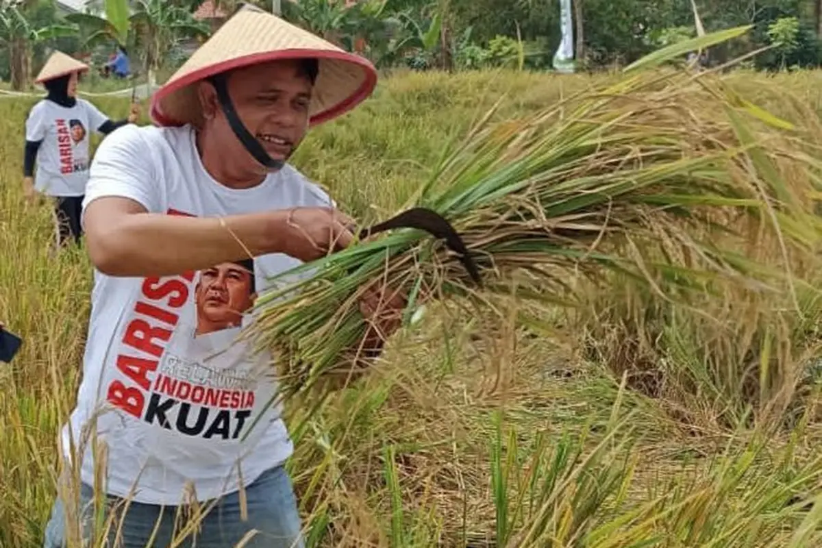 Relawan