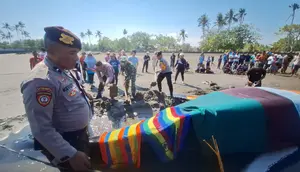 Paus Bungkuk Terdampar di Bali, Kondisi Mengenaskan