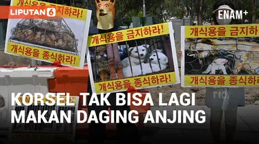 Sah! Korea Selatan Keluarkan Undang-Undang Pelarangan Konsumsi Daging Anjing