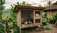 Cara Membuat Kandang Kelinci Sendiri dari Kayu, Bambu, dan Kawat