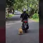 Video viral seorang ibu-ibu seret seekor anjing kecil saat mengendarai sepeda motor. (source: Instagram @nangbryan_adventure)