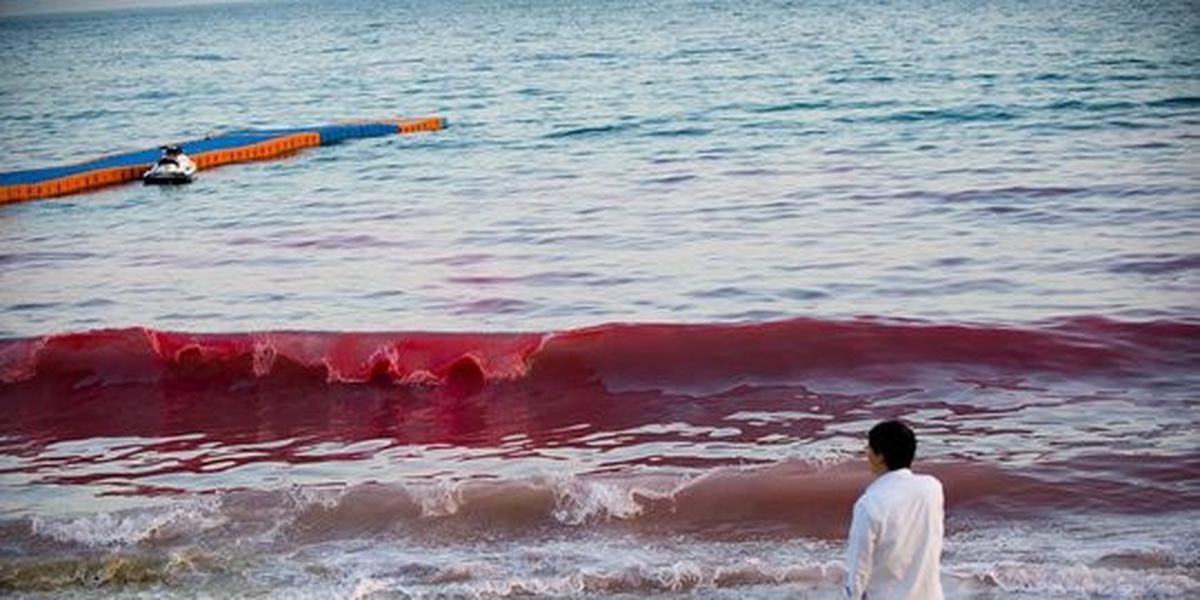 Muncul ombak darah di pantai selatan China