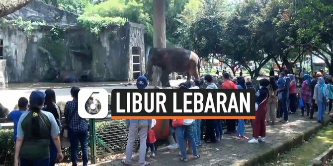 VIDEO: Taman Margasatwa Ragunan Ramai di Libur Lebaran, Pengunjung Capai Belasan Ribu