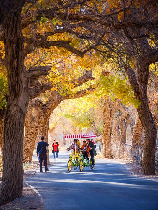 Para wisatawan menikmati pemandangan musim gugur di hutan poplar gurun (populus euphratica) di Wilayah Ejin, Daerah Otonom Mongolia Dalam, China utara, pada 18 Oktober 2020. (Xinhua/Lian Zhen)