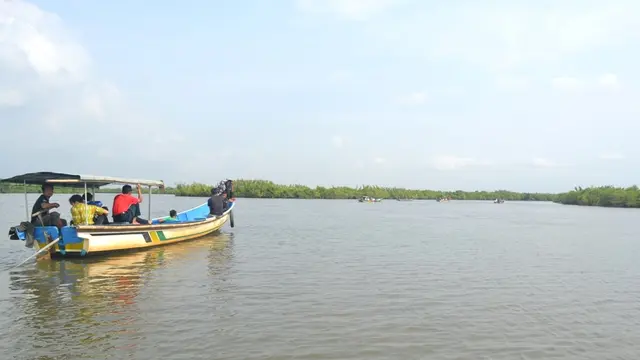 Laguna Segara Anakan berhadapan dengan bahaya pendangkalan. (Foto: Liputan6.com/Muhamad Ridlo)