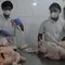 Wajib Halal Oktober 2026, BPJPH Perketat Aturan Industri