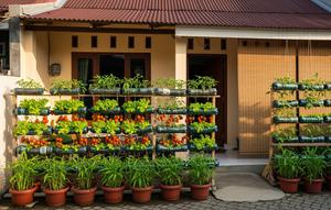 Kebun Sayur dari Botol Bekas yang Cocok untuk Hiasan Teras/ Ilustrasi AI