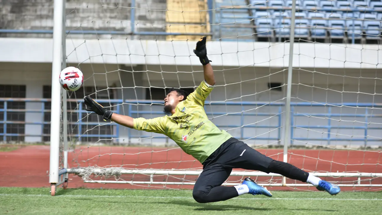 Deden Natshir, Persib Bandung
