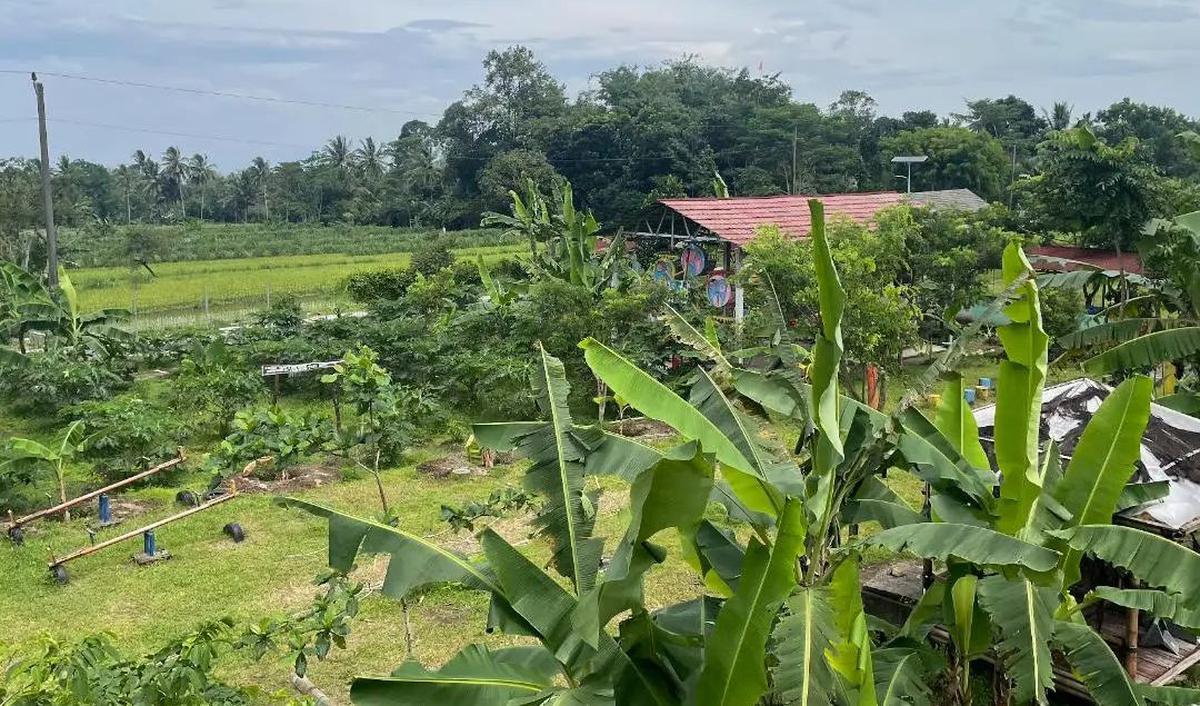 Juara 1 Desa BRIlian DIY Jateng pada 2022
