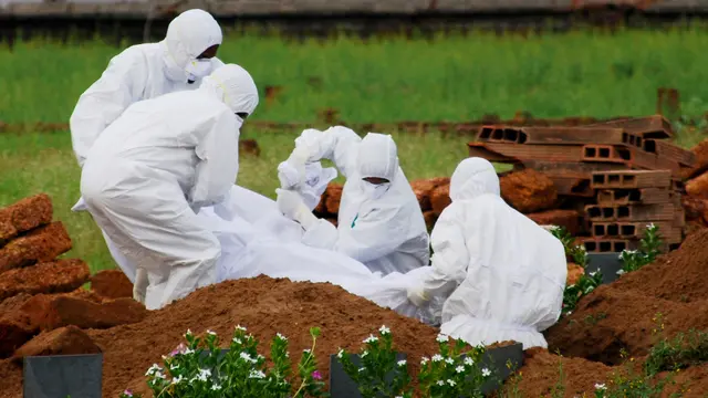 Apa Itu Virus Nipah? Kenali Tanda dan Gejalanya