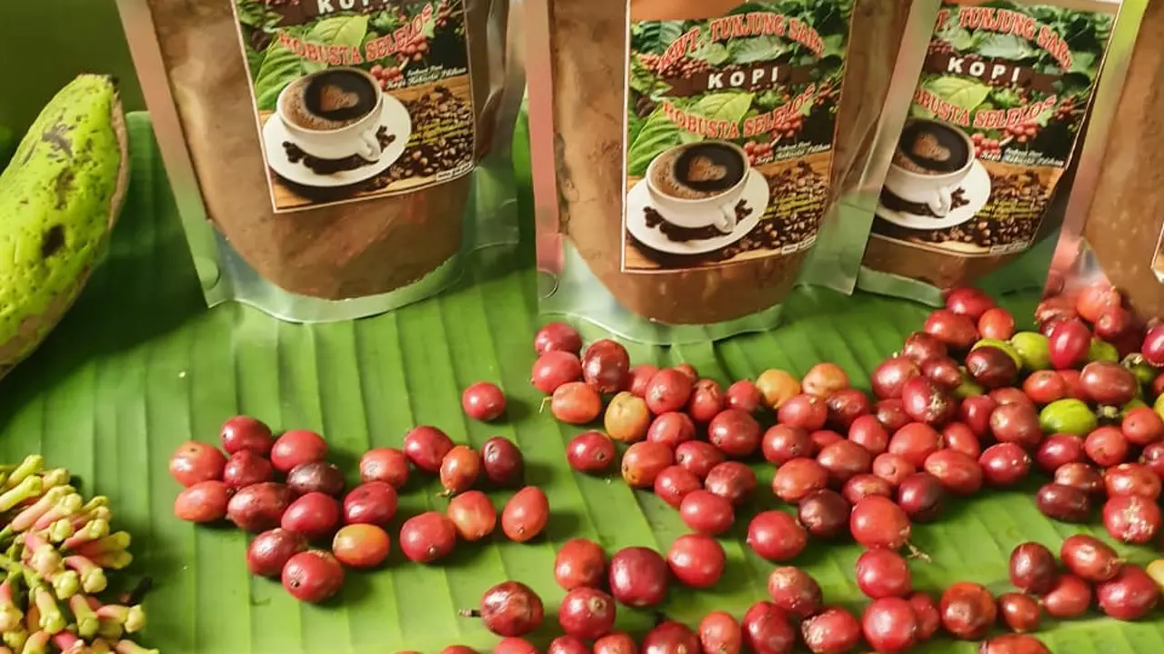 Kopi