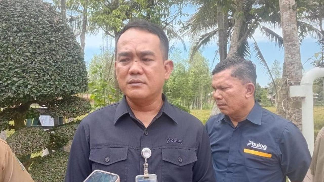 Bulog Sumut Segera Salurkan 1.405 Ton Jagung SPHP untuk Peternak Skala Mikro, Harga Rp5.500/Kg!