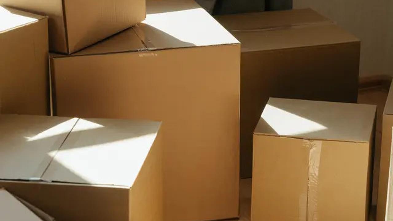 10 Perabot Rusak di Dalam Rumah yang Bisa Jadi Sarang Ular, Jangan Anggap Remeh