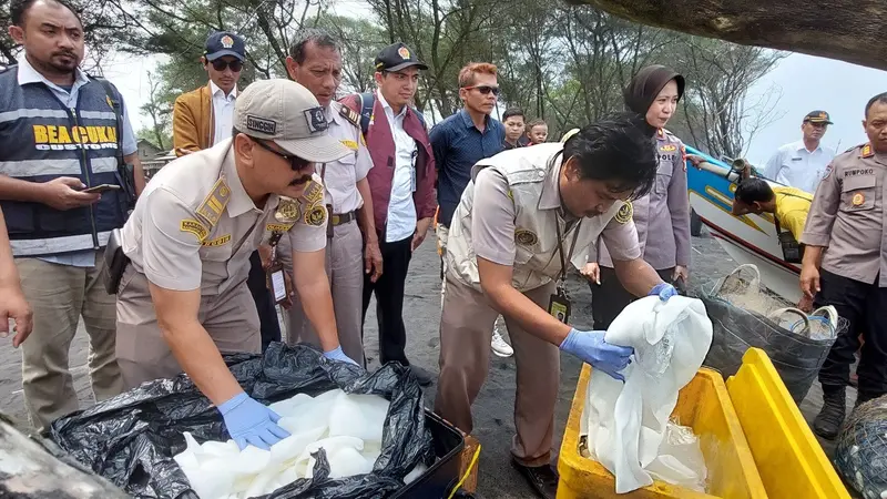 Suasana pelepasan 80.000 ekor benih bening lobster di Pantai Baru Bantul. (Istimewa)