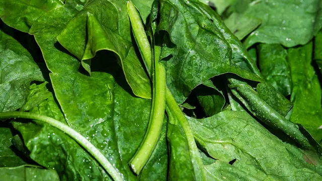 14 Manfaat Sawi Hijau Untuk Kesehatan Kaya Antioksidan Dan Sumber