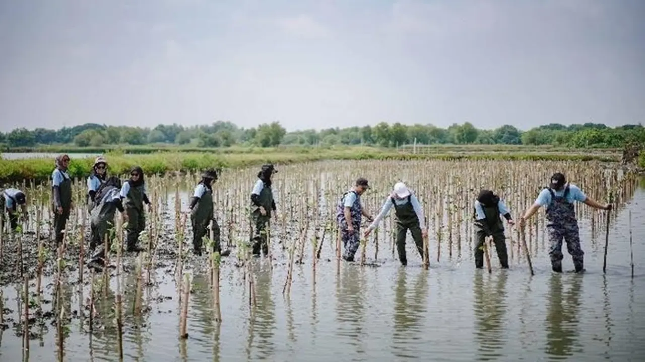Dukung Pelestarian Ekosistem Pesisir, Freeport Tanam 50 Ribu Mangrove di Gresik
