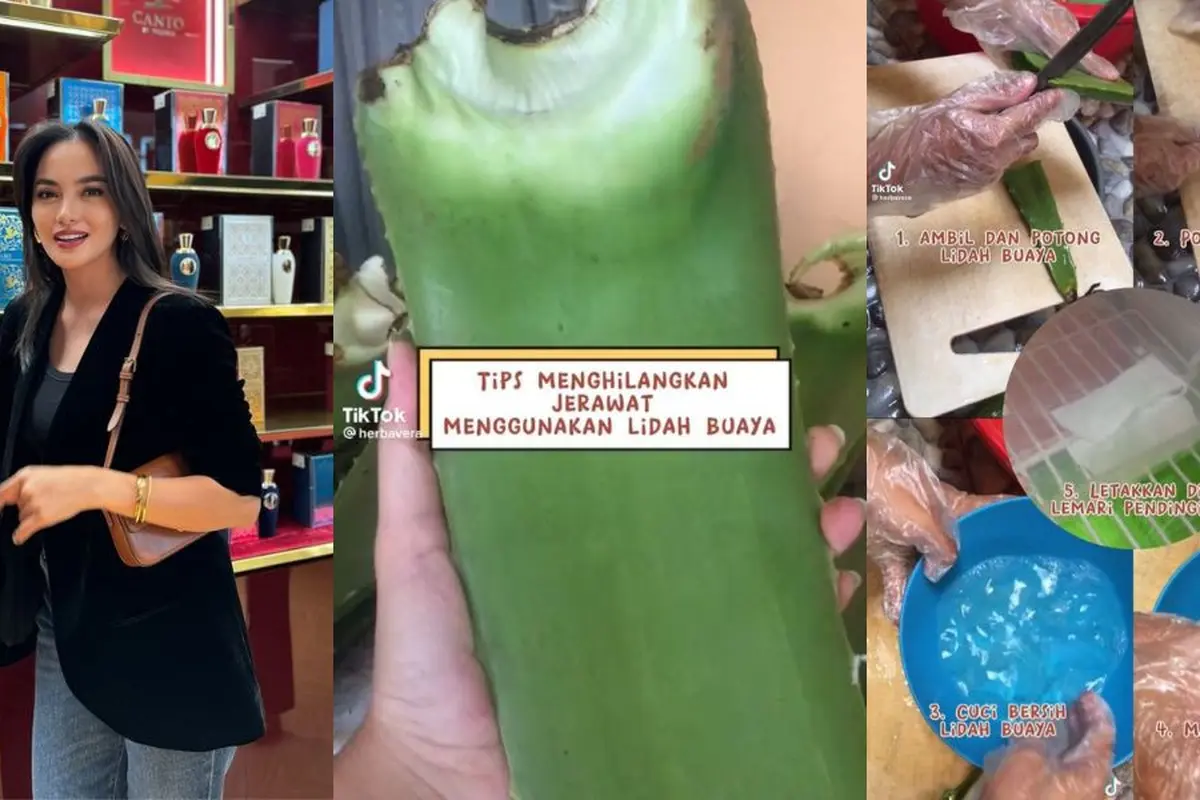Ririn Ekawati Punya Wajah Bebas Jerawat, Ternyata Ini Satu Bahan Ini Jadi Rahasia Besar
