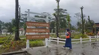 Objek wisata Yogyakarta Obelix Village buka untuk umum mulai Sabtu (15/10/2022)