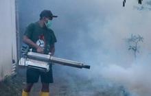Kasus DBD di Bali 2025 Capai 10.391, Badung Tertinggi