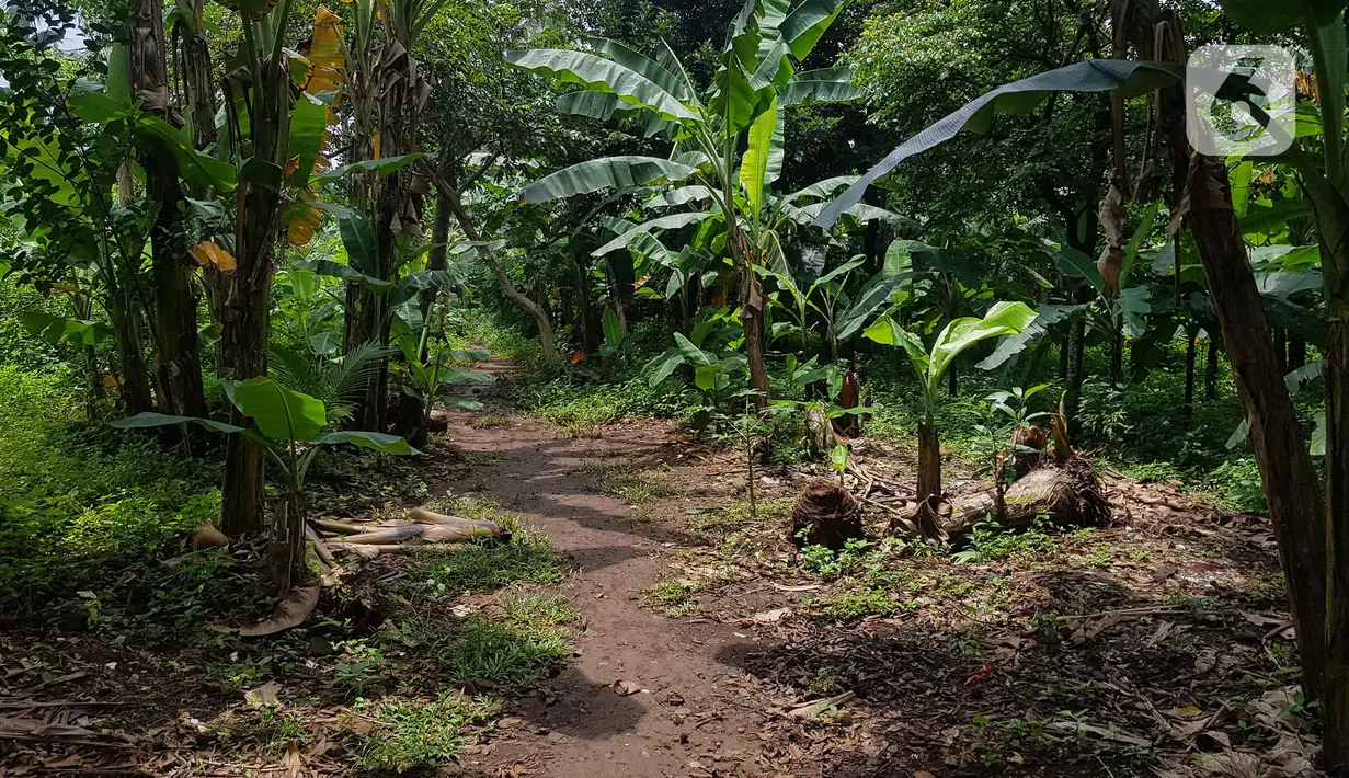 Tampak lahan di RT 05/RW 05 Kelurahan Pondok Ranggon yang dikabarkan jadi lokasi pembangunan DP Rp 0, Jakarta Timur, Rabu (10/3/2021). KPK sedang menyelidiki Program Rumah DP 0 Rupiah yang berada di Munjul, Kelurahan Pondok Ranggon, Kecamatan Cipayung, Jakarta Timur. (Liputan6.com/Herman Zakharia)