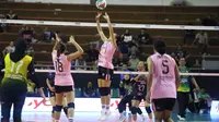 Petrokimia Gresik Pupuk Indonesia mengalahkan Rajawali O2C 3-0 (25-16, 25-17, 25-21) pada laga&nbsp;final four Livoli Divisi Utama 2025 di GOR Ki Mageti, Magetan, Minggu (12/10).&nbsp;(foto: PBVSI)