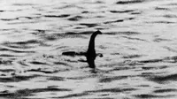 Keberadaan monster berleher panjang dengan punuk di punggung yang berasal dari Danau Loch Ness Skotlandia atau biasa disebut monster nessie ini hingga kini terus menjadi misteri.(Wikipedia)