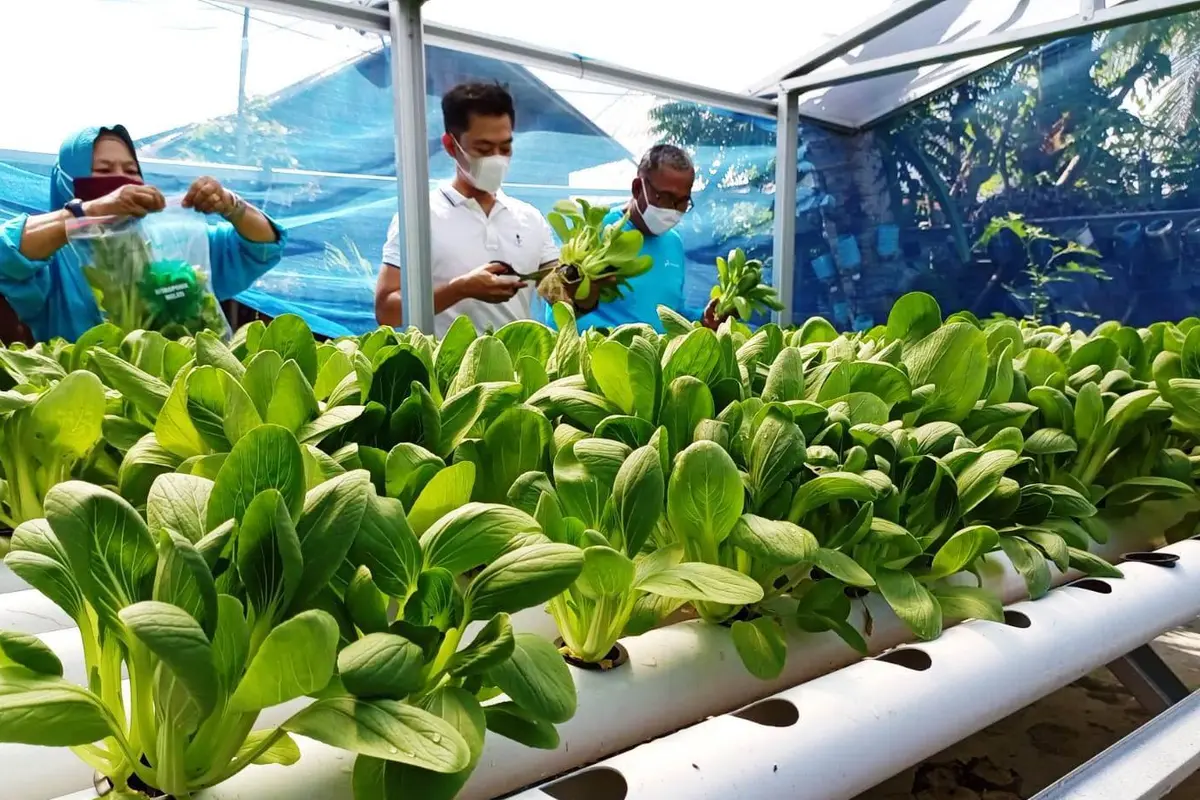 Dari Lahan Sendiri, Wujudkan Ketahanan Pangan Mandiri