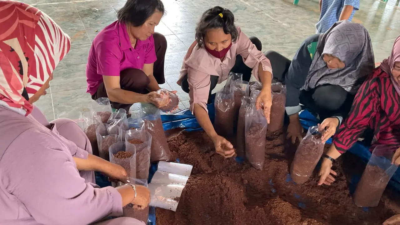 Budi Daya Jamur.