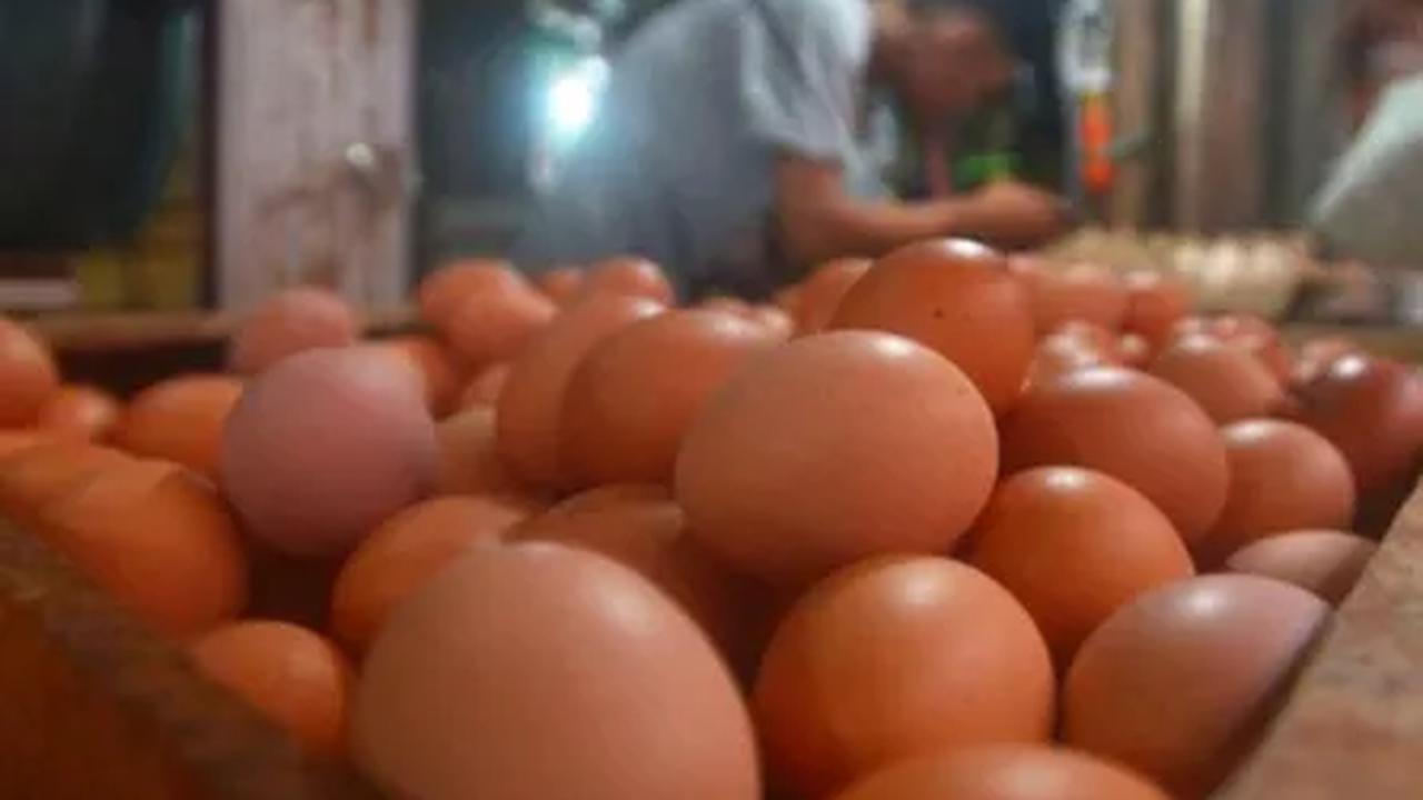 4. Telur