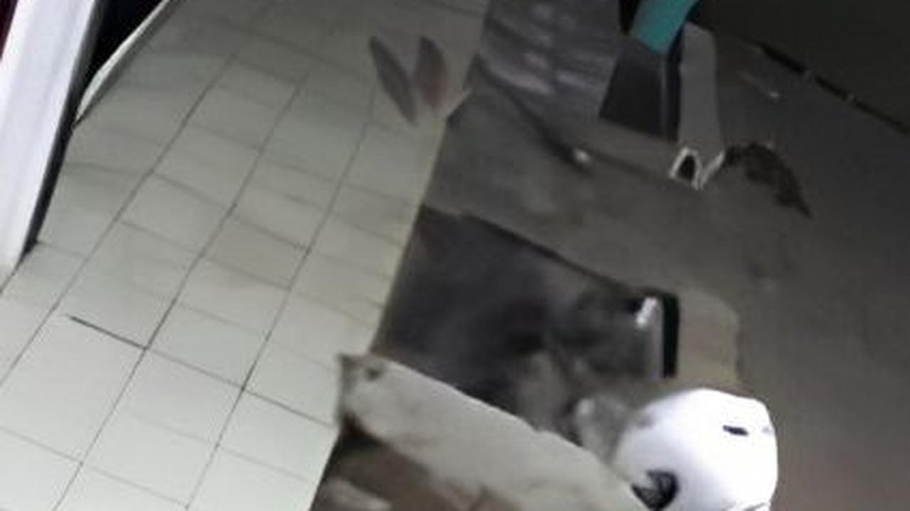 Viral di Medsos Dua Pria Gondol Kursi Roda Milik Kakek Disabilitas yang Tidur di Emperan Toko, Warganet: Tuhan Melihatmu