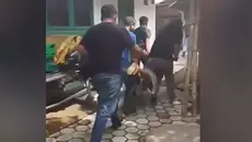 Dwi Bagus Sembunyi di Jombang, Digotong dan Teriak Saat Ditangkap