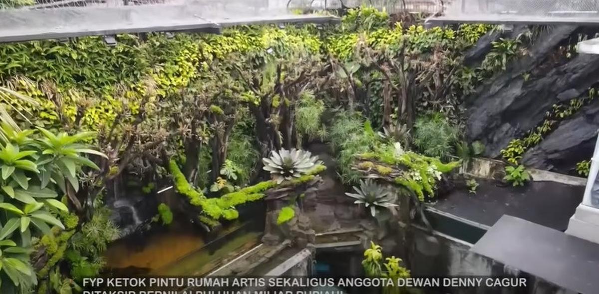 8 Potret Paludarium Raksasa di Rumah Denny Cagur yang Megah, Pemandangan Indah - Ditaksir Berharga Fantastis