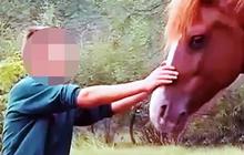 Tak disangka, hewan-hewan jinak ini sanggup memotong penis manusia