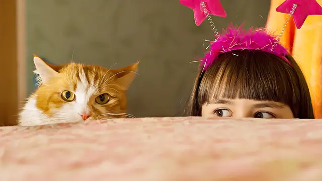 Rahasia Bikin Kucing dan Si Kecil Jadi Teman Baik Sampai Dewasa