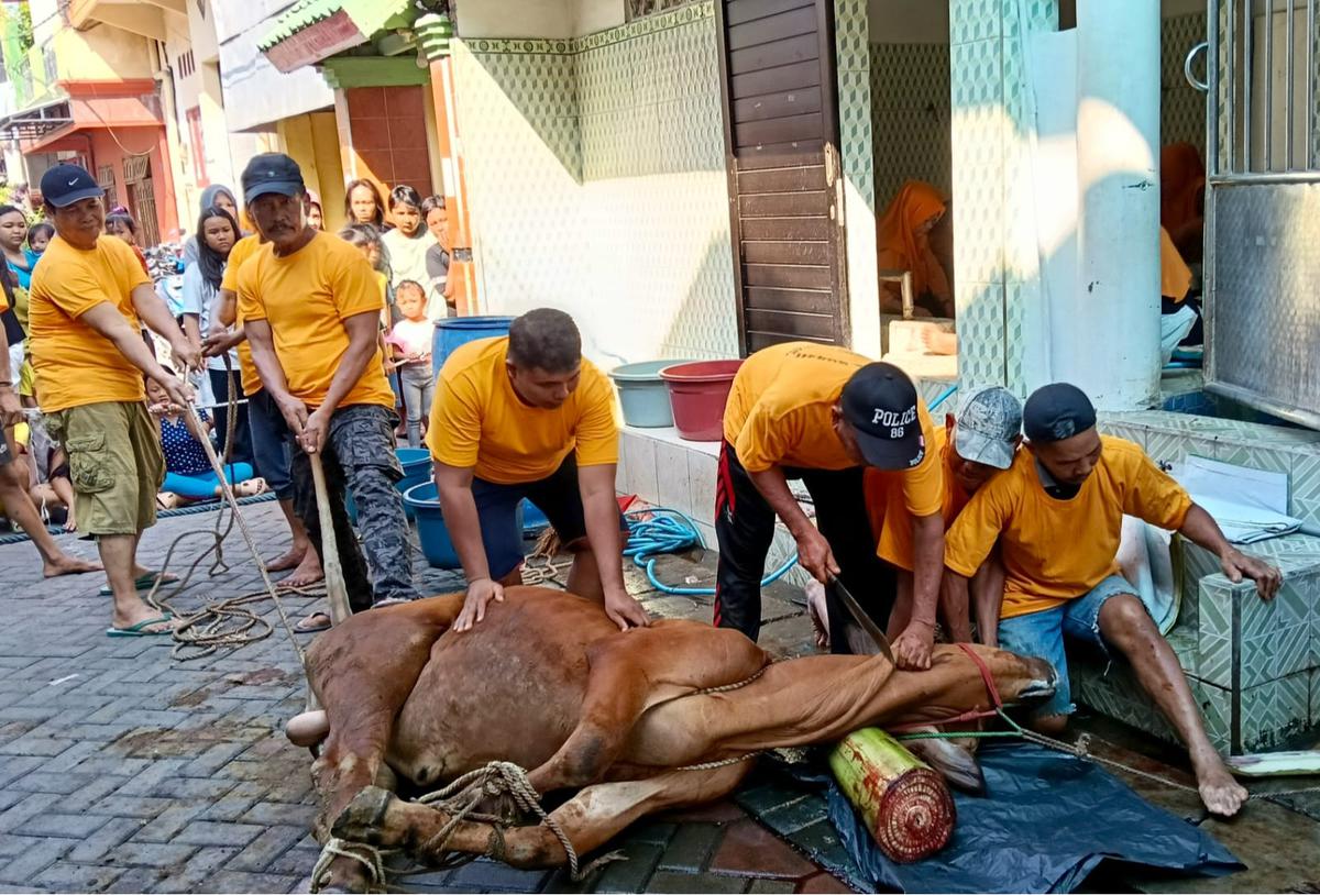 Bijak dalam Menerima Kurban: Antara Kebutuhan dan Godaan Keuntungan