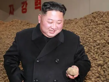 Pemimpin Korea Utara Kim Jong-Un melihat sebuah kentang saat mengunjungi pabrik produksi Samjiyon Potato Farina di Samjiyon County (30/10). (Photo by KCNA VIA KNS / KCNA VIA KNS / AFP)