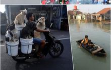 Kaleidoskop: Foto Terbaik Karya Fotografer merdeka 2023