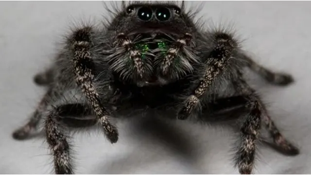 Courtesy ListVerse.com