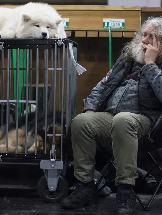 Seorang pria beristirahat  di samping kedua anjingnya pada hari pertama pertunjukan anjing Crufts 2018 di NEC di Birmingham, Inggris tengah,(8/3). (Aaron Chown / PA Wire (/ PA via AP)