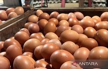 PIHPS Rilis Data Terbaru: Harga Komoditas Pangan Utama, Cabai Rawit dan Telur Ayam Alami Perubahan
