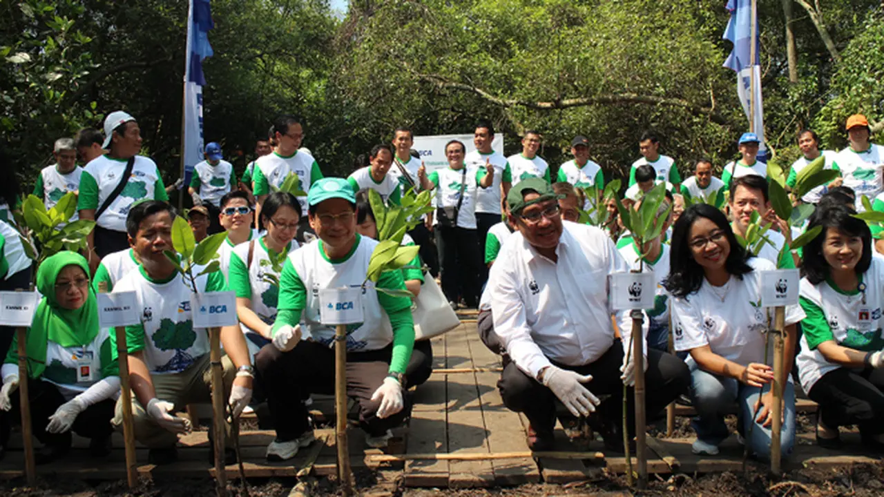 BCA dan WWF Indonesia Tanam 18.000 Pohon Bakau di 9 Kota