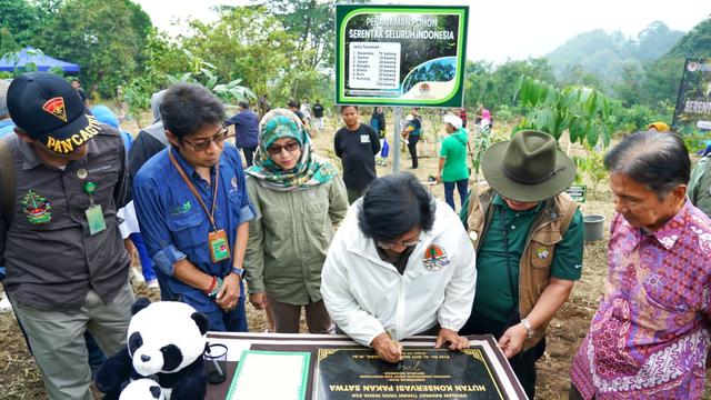 Ikuti Arahan Jokowi, Aksi Menanam Pohon Dilakukan Serentak di 38 Provinsi pada Sabtu Terakhir 2023