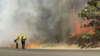 Petugas pemadam kebakaran membakar bahan bakar di Grass Valley, California, Rabu (25/8/2021). Kebakaran hutan California Utara yang telah membakar ratusan rumah bergabung dengan api di timur Los Angeles yang juga menghancurkan bangunan. (Elias Funez/The Union via AP)