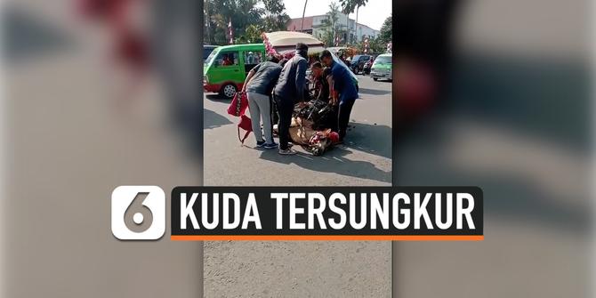 VIDEO: Diduga Kelelahan Seekor Kuda Tersungkur di Jalanan