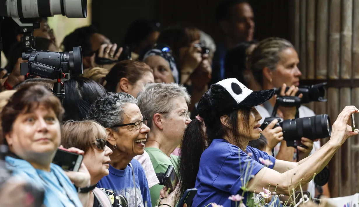 Fotografer dan turis menyaksikan panda raksasa jantan Xiao Qi Ji memakan kue es untuk ulang tahun ketiganya di Kebun Binatang Nasional Smithsonian pada 21 Agustus 2023 di Washington, DC. (AFP/Stefani Reynolds)