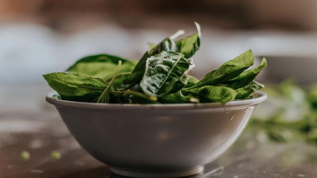 Sumber Makanan Nabati