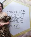 Penyanyi dangdut asal Sidoarjo Via Vallen berhasil menyabet gelar Penyanyi Dangdut Wanita Terpopuler dalam ajang Indonesian Dangdut Awards 2017. Ia berhasil mengalahkan para penyanyi yang lebih dulu populer di jalur dangdut. (Deki Prayoga/Bintang.com)